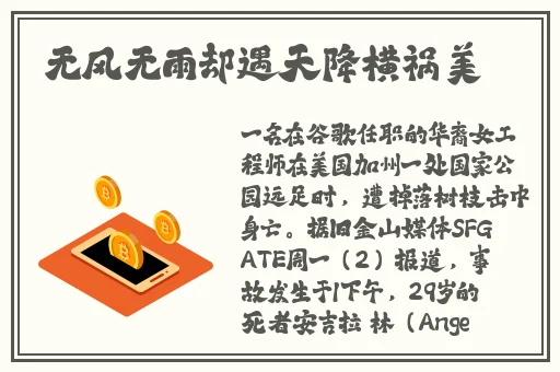 国产一区二区的精品